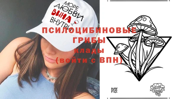 амфетамин Алексеевка